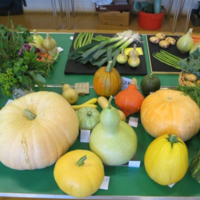 Garden Soc Talk: Beautiful Edible Productive Garden